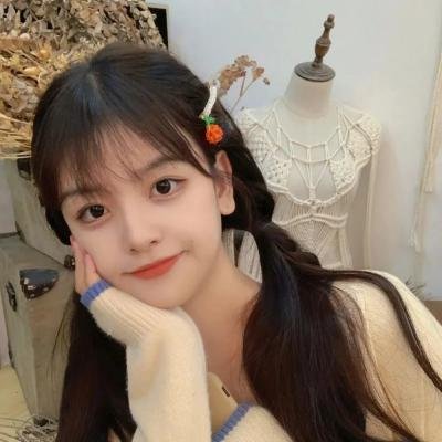 她来了 特别篇