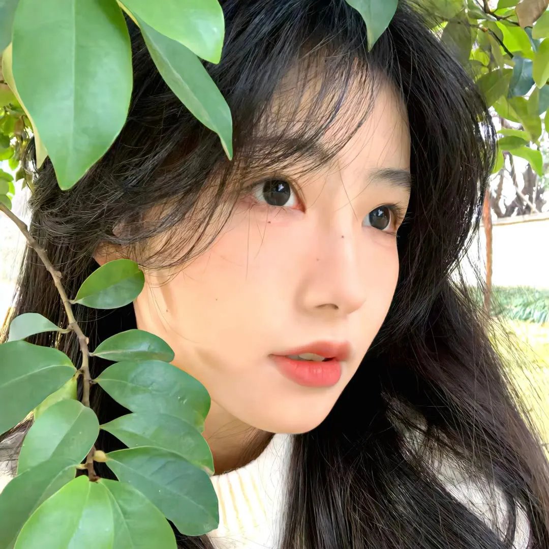 迷蝶
